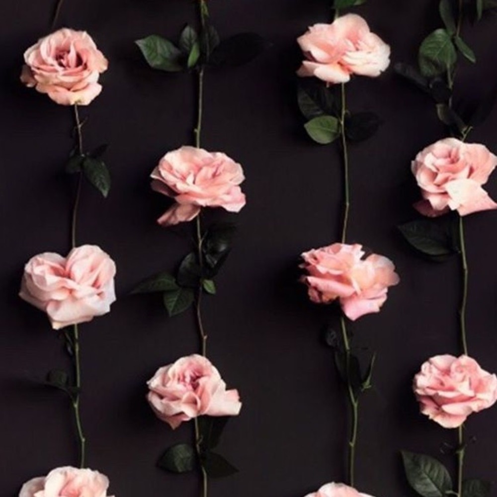 Send offers ✨🤍🦋